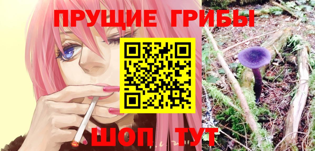 Галлюциногенные грибы ЛСД Белогорск