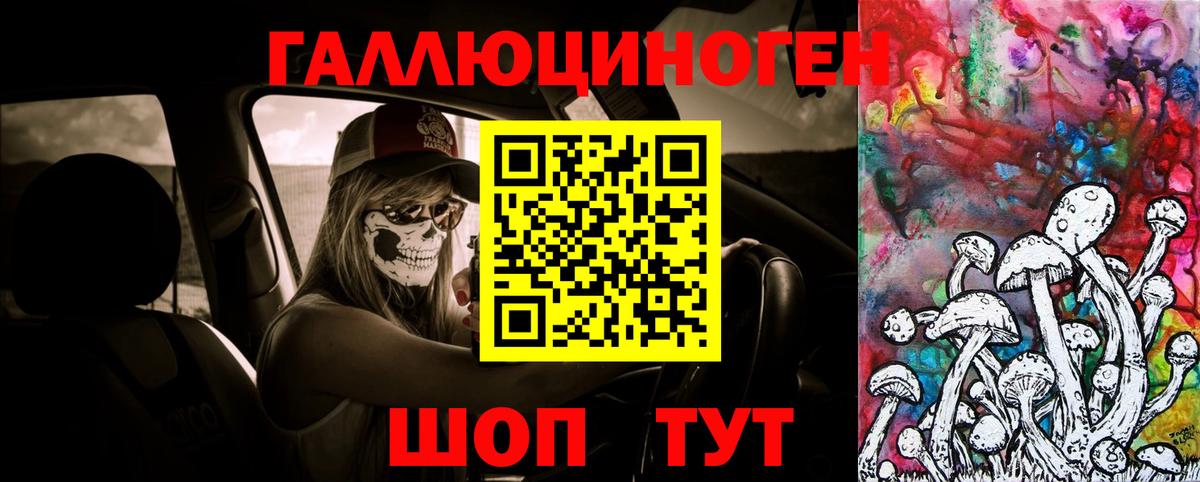 сколько стоит  Белогорск  Галлюциногенные грибы Cubensis 